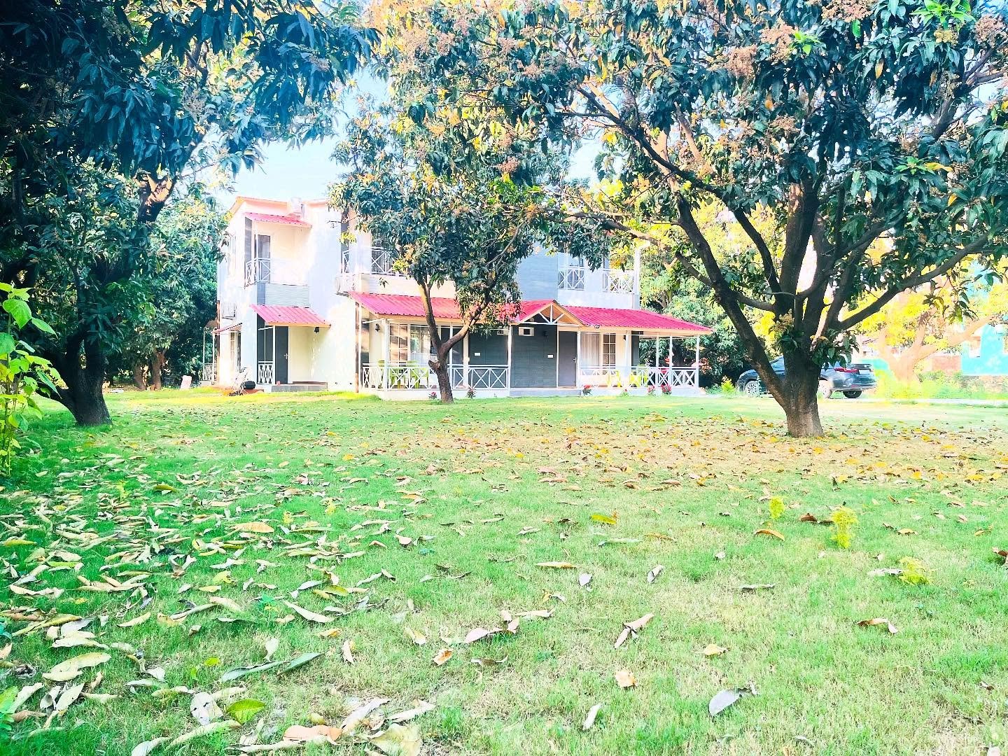 Garden Area